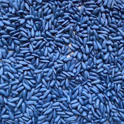 Ocean Blue coated seed